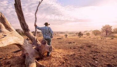 Chance of El Niño forming in Pacific Ocean may push global temperatures to record highs
