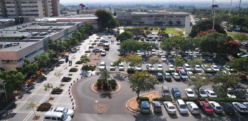 Sheba, Tel Hashomer Hospital Photo: Tamar Matsafi