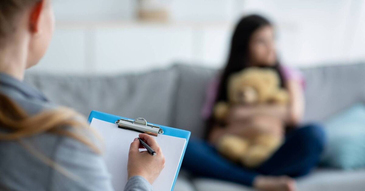 Third of beds vacant at Cork's only child mental health facility