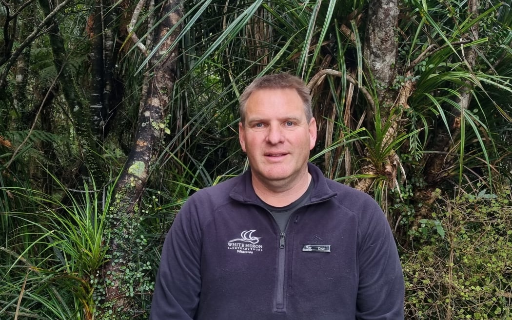 White Heron Sanctuary Tours managing director Dion Arnold said parts of the forest used to look like a lawn mower has been through it but it was recovering without predators.