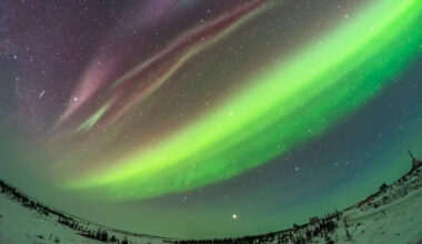 February 2026: What's in the sky this month? Jupiter continues to dominate the night; Mercury, Venus, and Saturn are visible