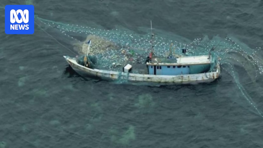 Border Force launches operation targeting illegal foreign fishing off Queensland coast