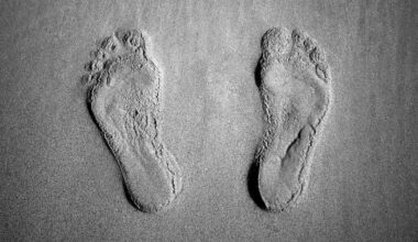 Archaeologists stunned by 121,000-year-old human footprints - Science - News