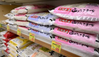 Rice prices remain high in Japan even after stockpile releases