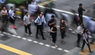 Subscribe Placeholder