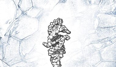 Self-synthesising RNA strand offers clues to life’s origins | News