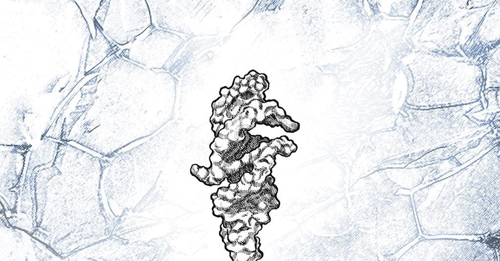 Self-synthesising RNA strand offers clues to life’s origins | News