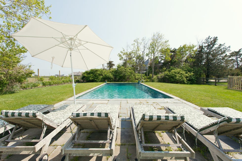 Lounge chairs and a pool surrounded by greenery.
