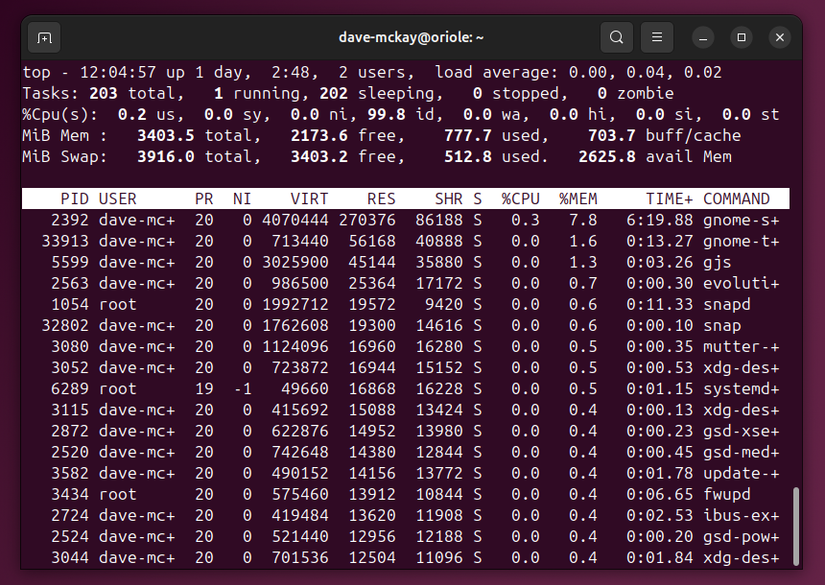 THe top program showing the two instances of the gobble process have been terminated.
