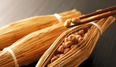 Nutrition Insight logo