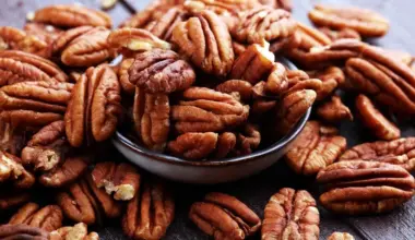 Nutrition Insight logo