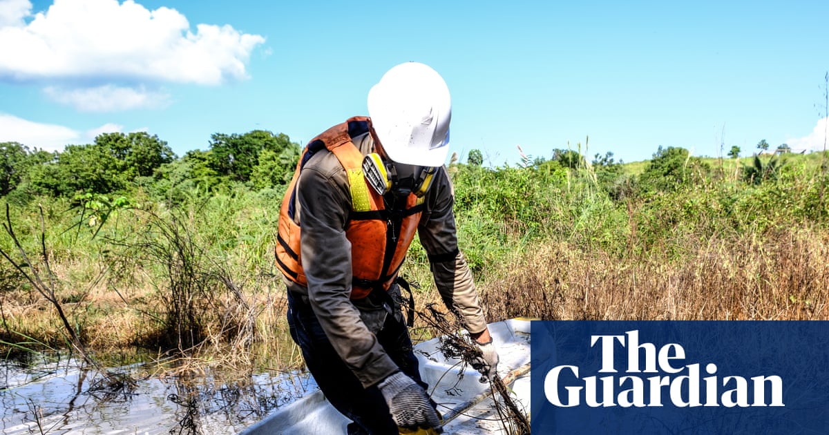 ‘If we see you again, we kill you’: how a Colombian wildlife hotspot turned into a death zone | Pollution