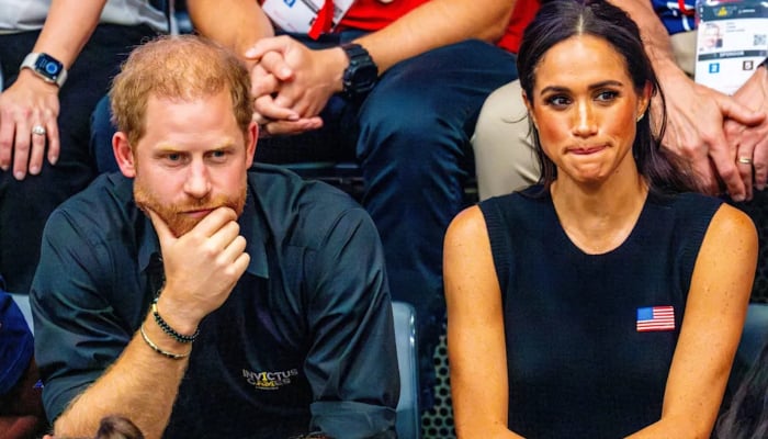 Prince Harry loses royal title to promote Meghan Markle business ambitions