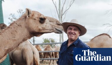 How an Australian farmer is planning to get US consumers hooked on camel milk | Australia news