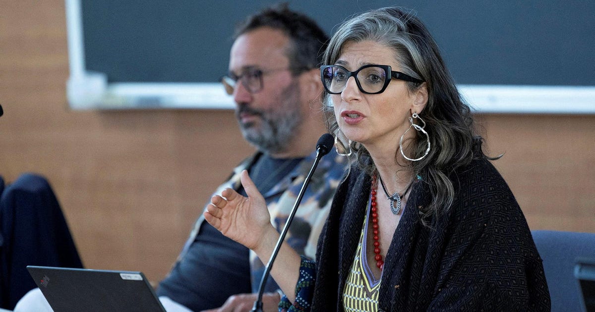 Report: France urges UN's Albanese removal for saying Israel is 'common enemy' - Haaretz