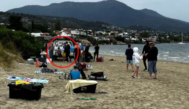 Incredible milestone reached as locals fightback against plague of invaders: 'Amazing result'