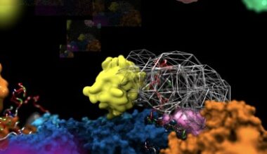 Power of Tiny Molecular 'Flycatcher' Surprises Through Disorder