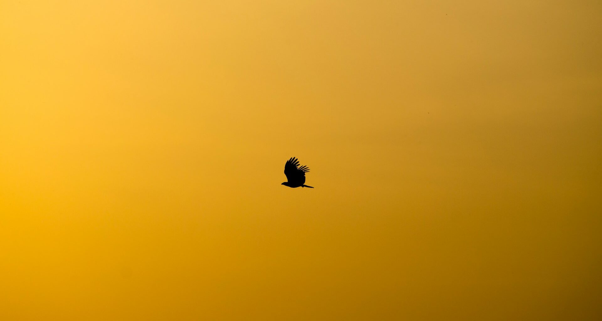 Gold's First Stress Test of 2026 - Article