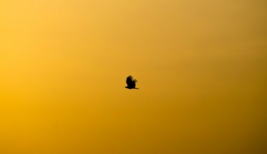 Gold's First Stress Test of 2026 - Article