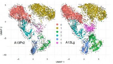 Growth of Spreading Pancreatic Cancer Fueled by 'Under-Appreciated' Epigenetic Changes