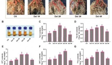 CRISPR Unlocks a New Path to Stronger Medicinal Plants
