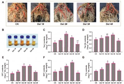 CRISPR Unlocks a New Path to Stronger Medicinal Plants