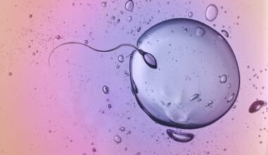 Tiny RNA Molecules in Sperm, Big Impact on Baby Health