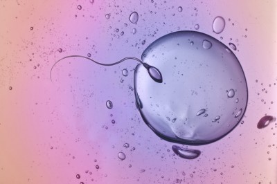 Tiny RNA Molecules in Sperm, Big Impact on Baby Health