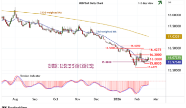 Edging higher in choppy trade