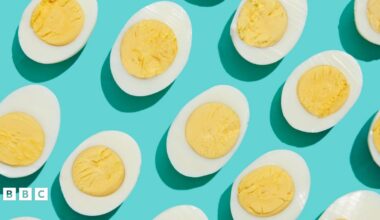 Halved hard-boiled eggs on a light blue background