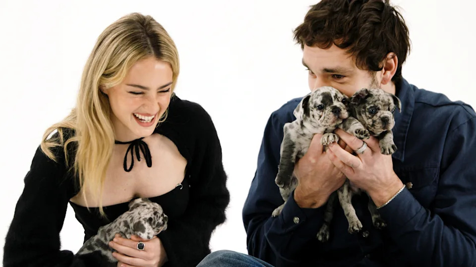 Two people smiling while holding adorable puppies
