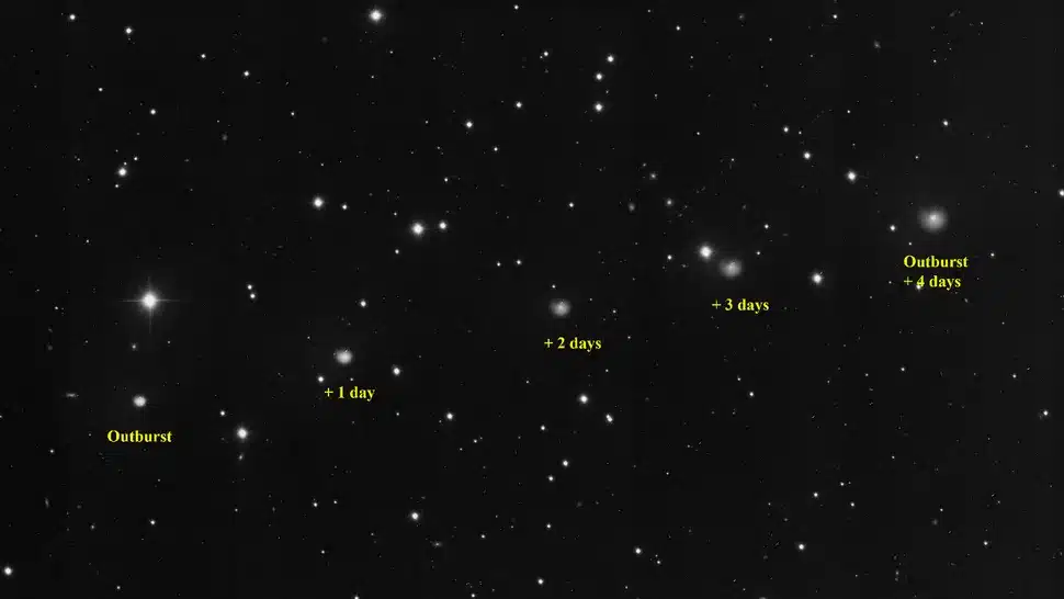 6fgs6jvyurdjft2zu9nafg 970 80.jpg