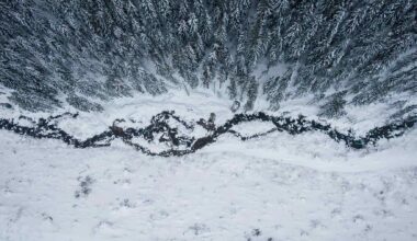 winter storm energy