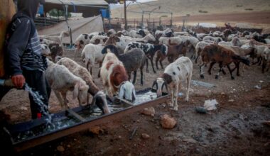 The Jerusalem Post - Israel News