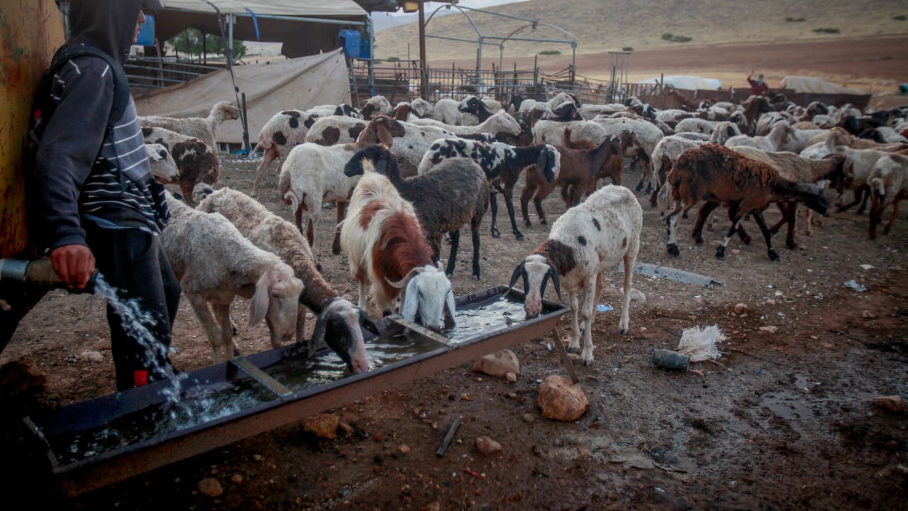 The Jerusalem Post - Israel News