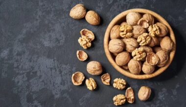 The Jerusalem Post - Israel News