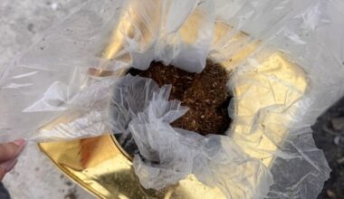 The Jerusalem Post - Israel News