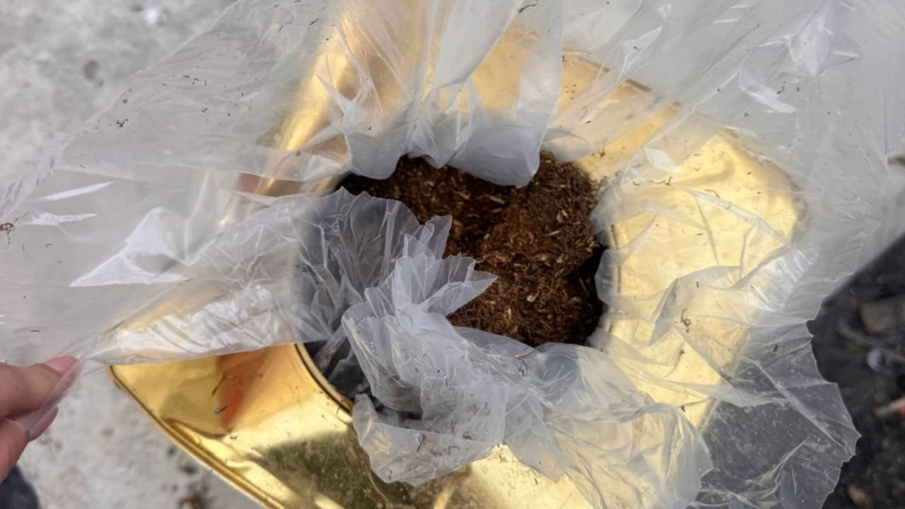 The Jerusalem Post - Israel News