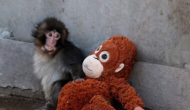 The Jerusalem Post - Israel News