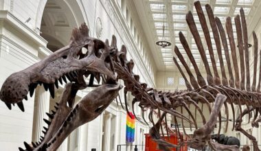 The Jerusalem Post - Israel News