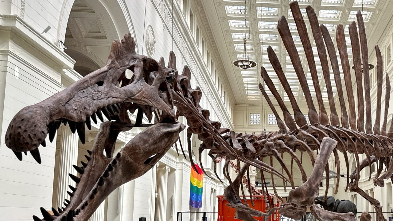 The Jerusalem Post - Israel News