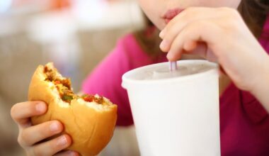 Childhood exposure to poor food can lead to lasting changes in brain function – The Irish Times