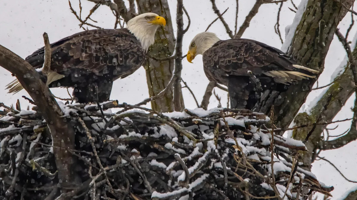 Yahoo lifestyle home