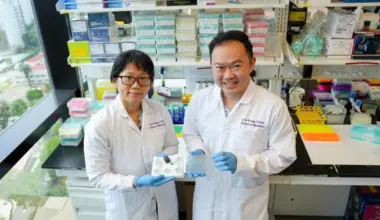 Subscribe Placeholder