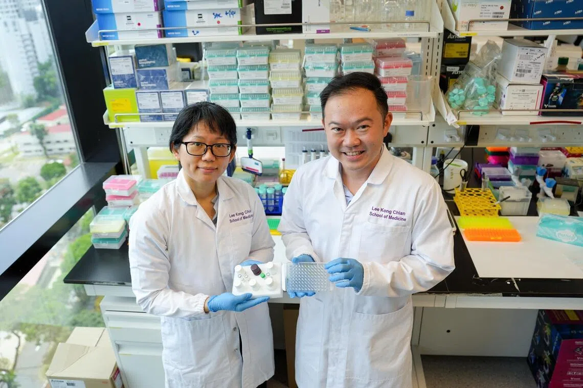 Subscribe Placeholder