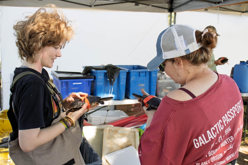 Two women holding turtles