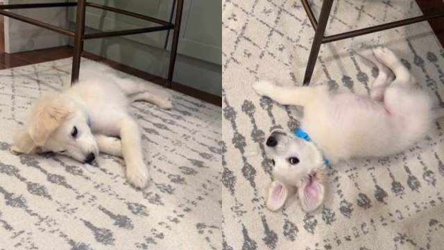 Yahoo lifestyle home