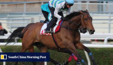 Voyage Bubble ‘full of beans’ but Ricky Yiu doubts he can topple Romantic Warrior in Gold Cup | HK Racing