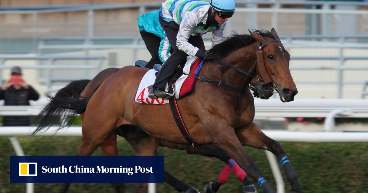 Voyage Bubble ‘full of beans’ but Ricky Yiu doubts he can topple Romantic Warrior in Gold Cup | HK Racing