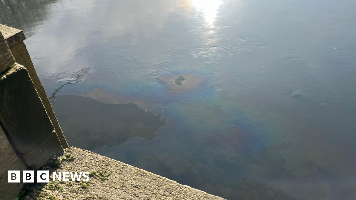 A river looks like it has a thin layer of material on the top which has caused the water to turn different colours.